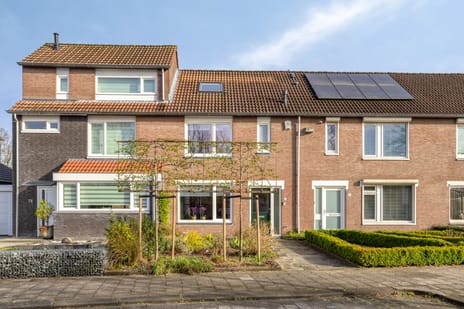 undefined main image