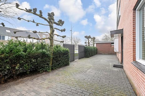 Algengroen 8-A secondary image