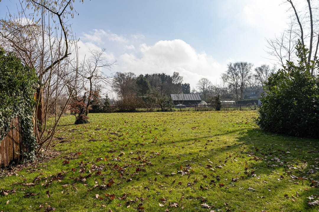 Foto 58 van Bladderswijk OZ 141