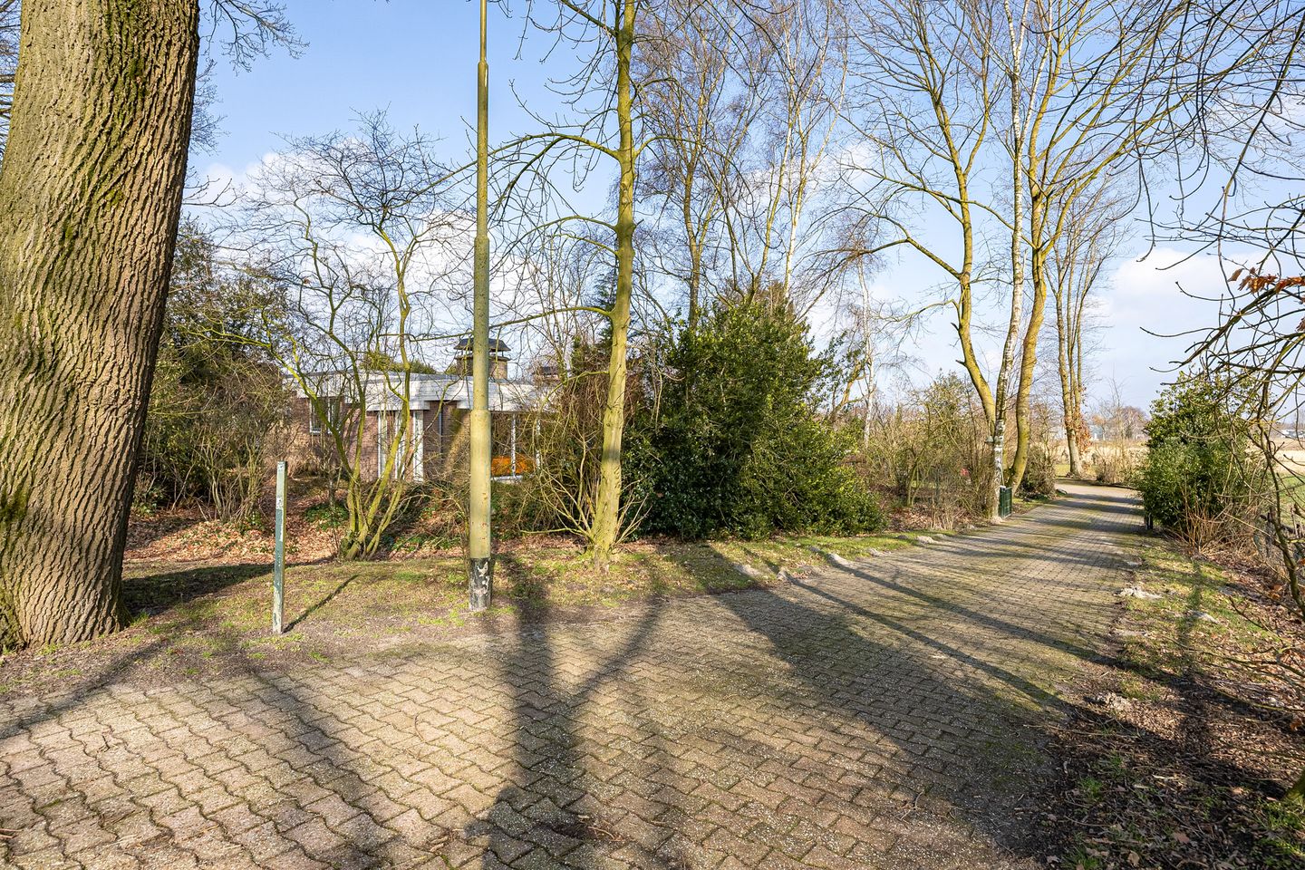 Foto 59 van Bladderswijk OZ 141