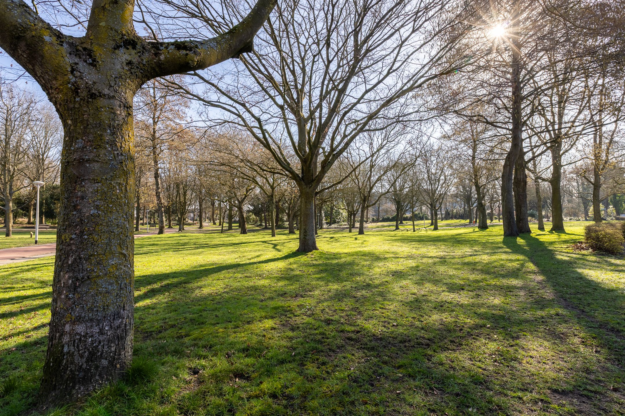 Foto 33 van Overakker 31