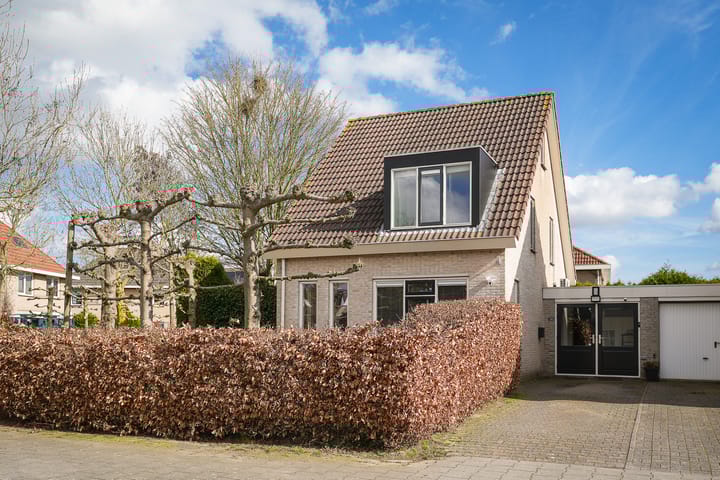 Kanteel 40 main image