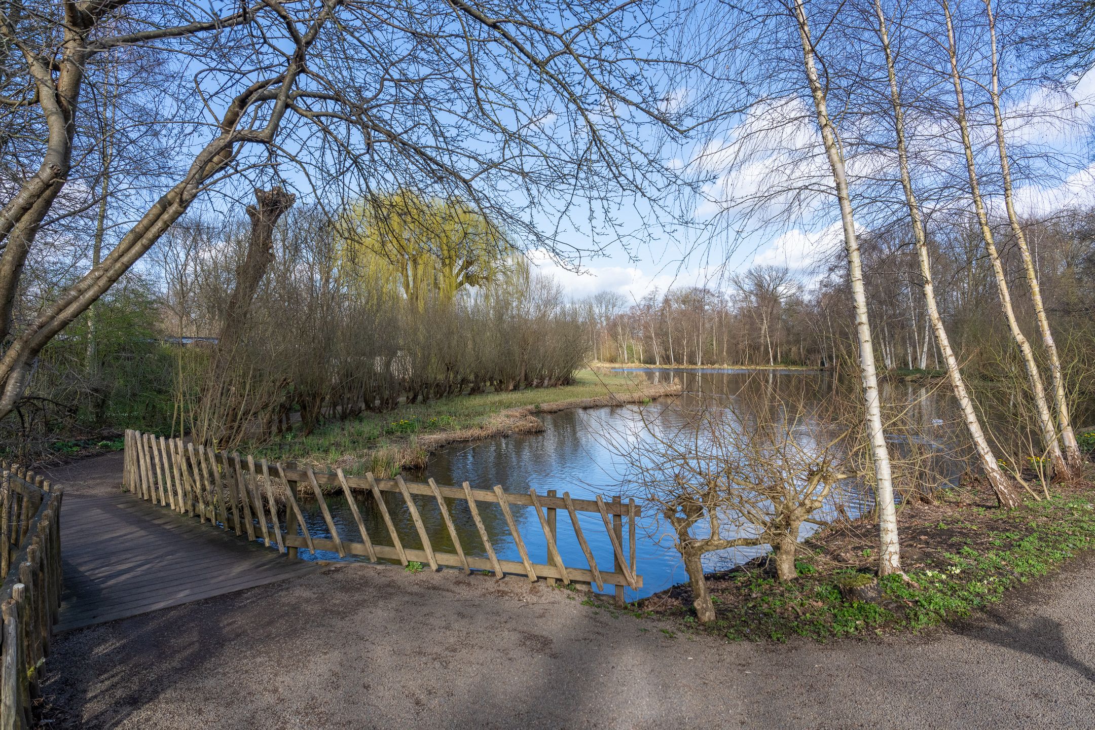Photo 69 of Amsterdamseweg 229
