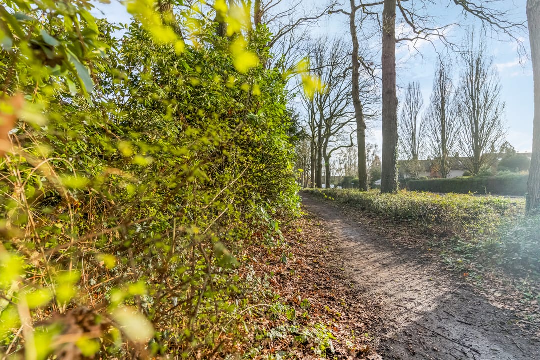 Foto 38 van Perengaard 13