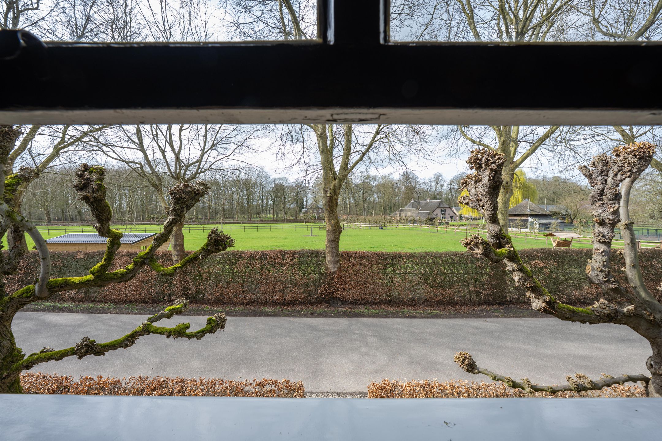 Foto 69 van Kerkstraat 12