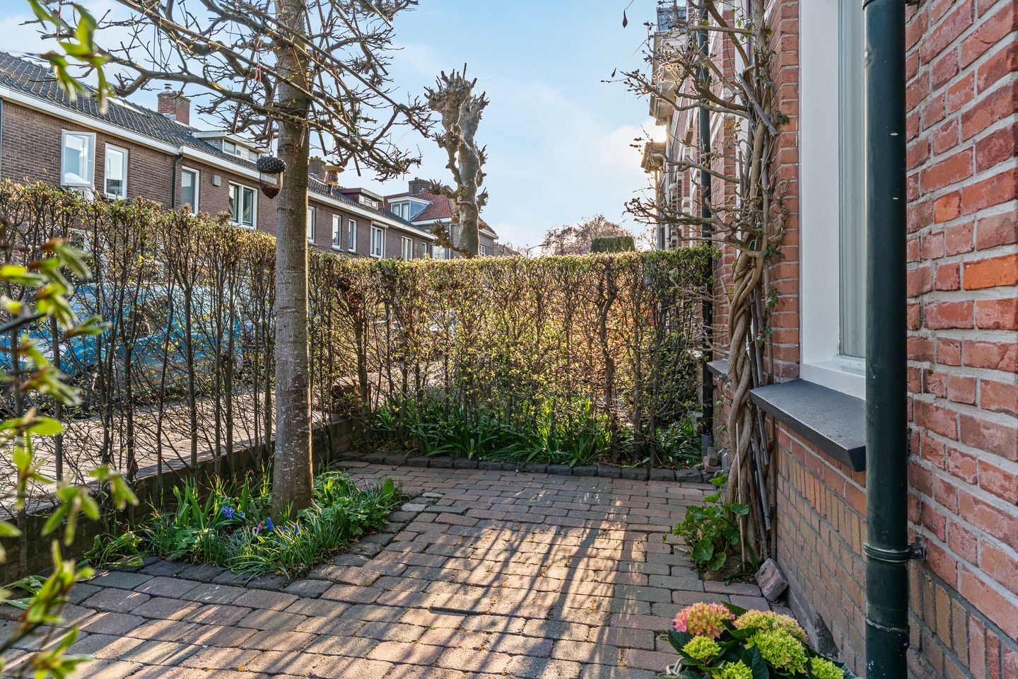 Foto 44 van Nachtegaallaan 5