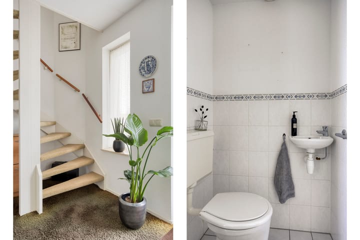 Foto 5 van Sterappel 29