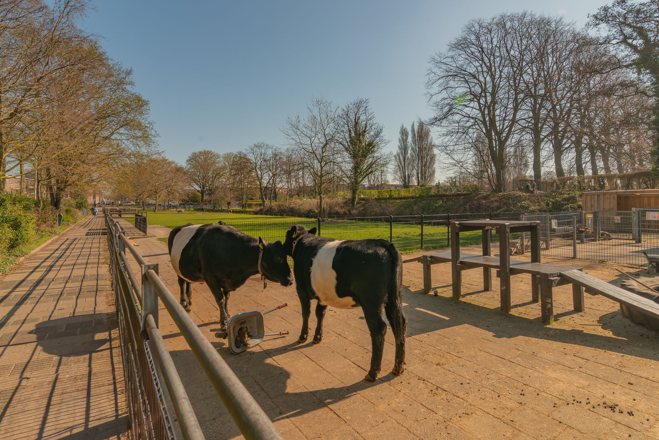 Photo 36 of Hortensiastraat 90