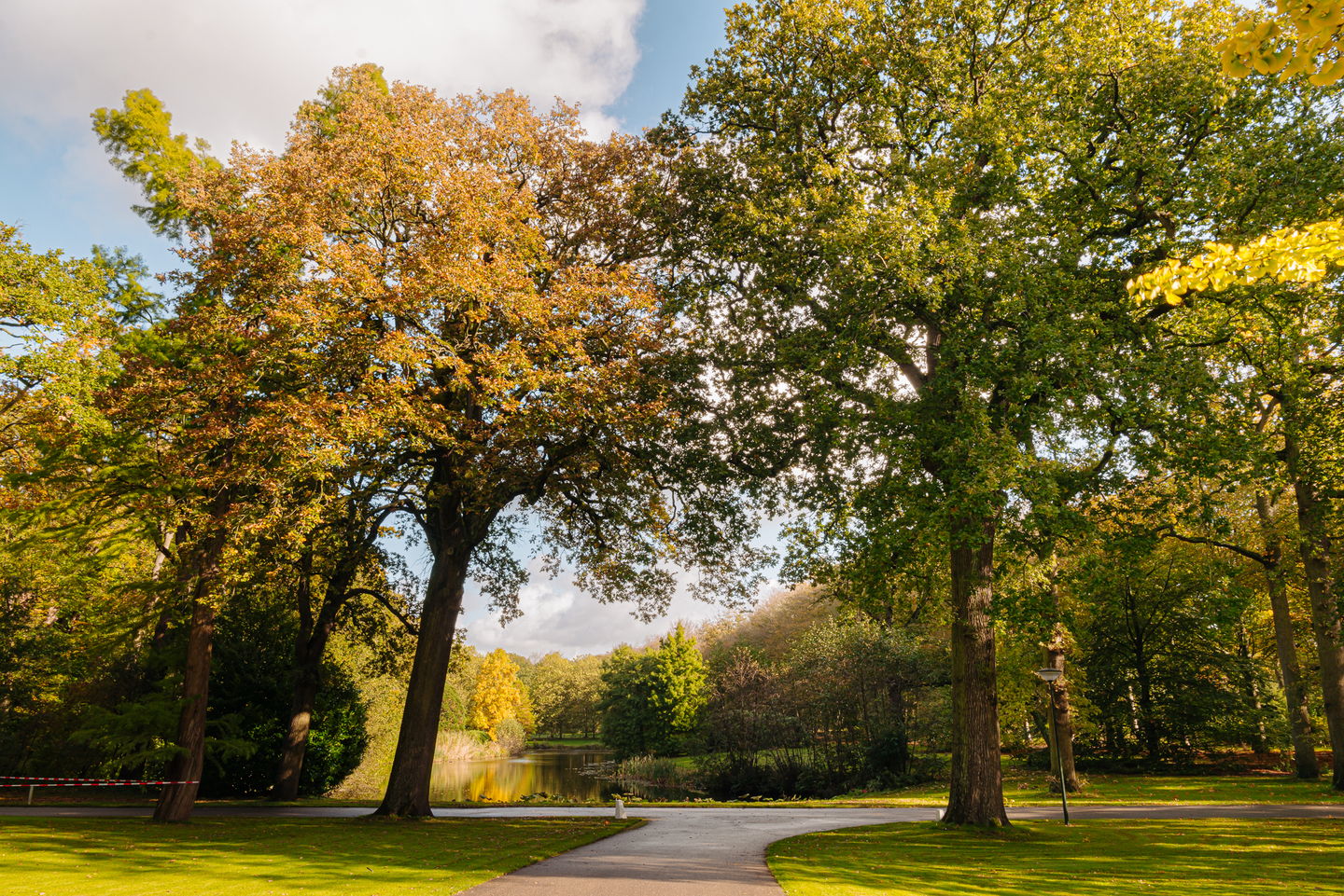 Foto 4 van Van Ommerenlaan 22