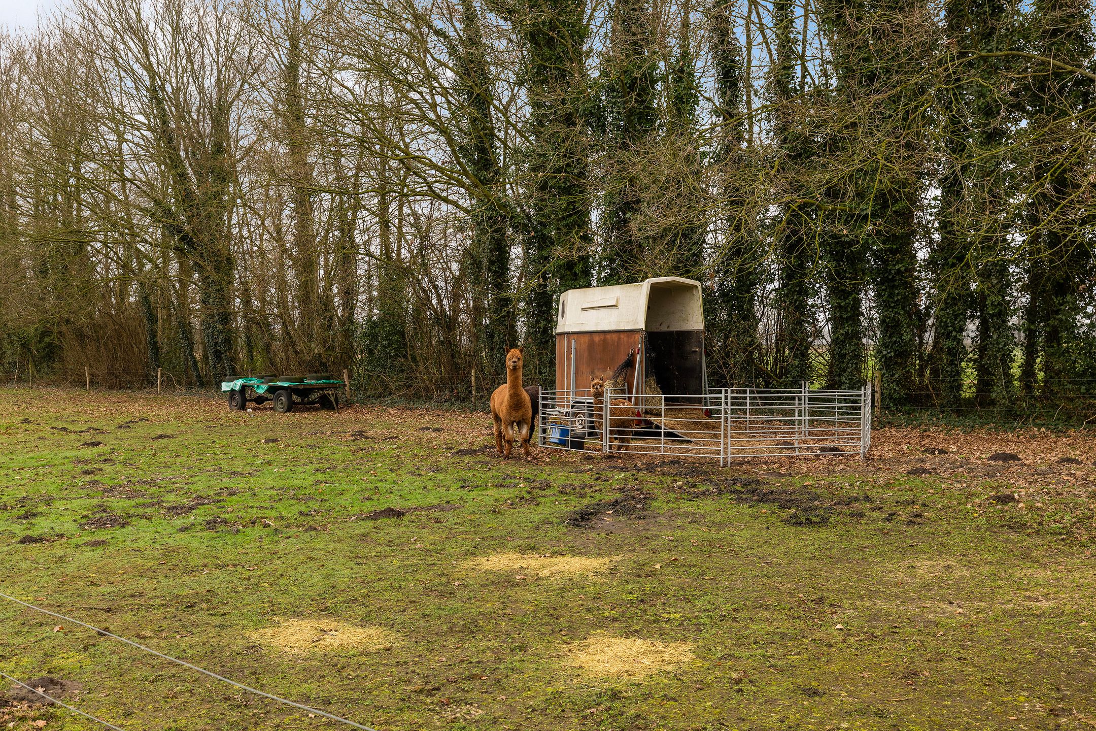 Photo 60 of Mepperstraat 40