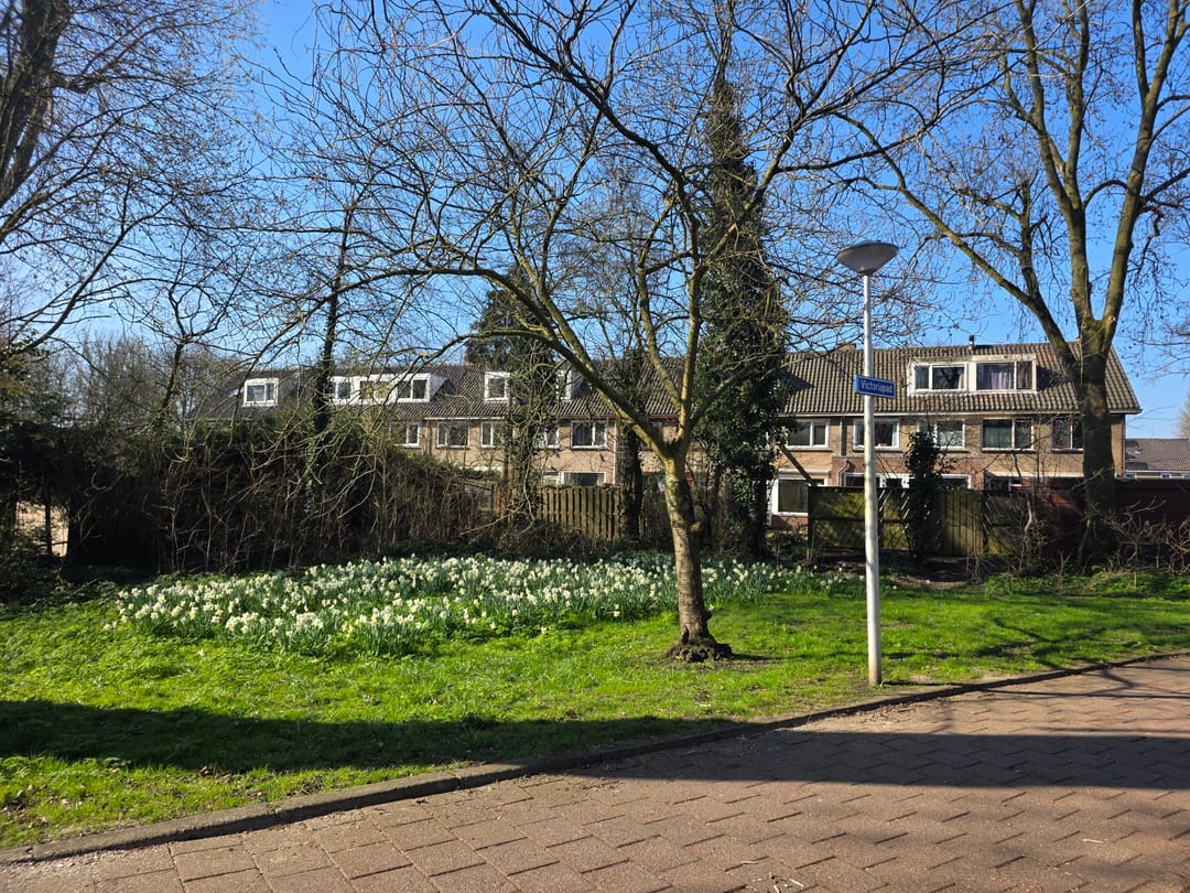 Photo 32 of Rooseveltlaan 14