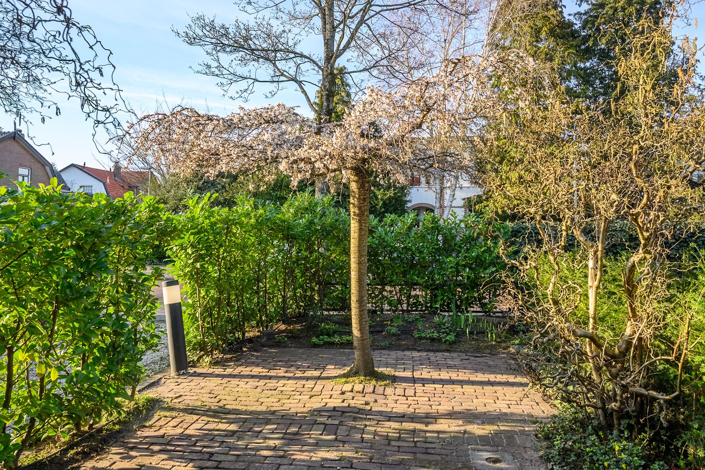 Foto 44 van Singel 18