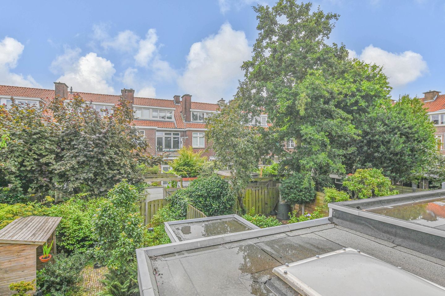 Foto 35 van Cliviastraat 6-A