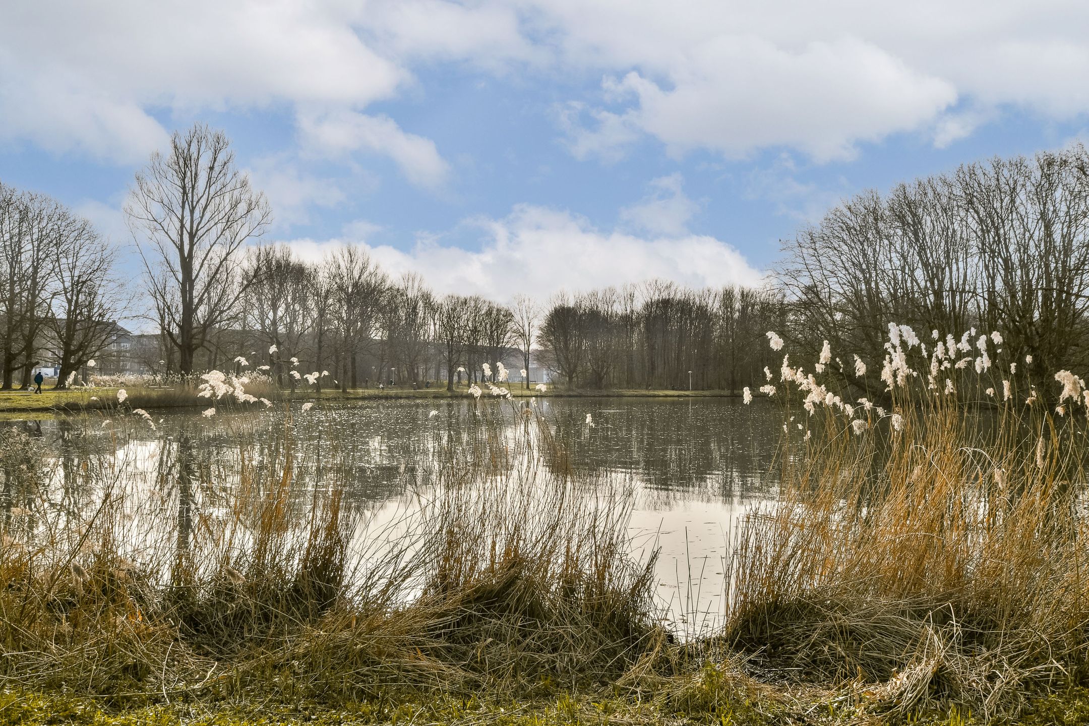 Photo 15 of Nachtwachtlaan 333