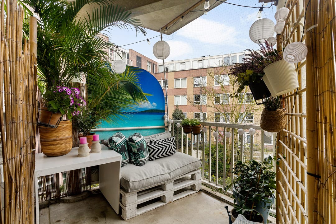 Foto 17 van Borgerstraat 123