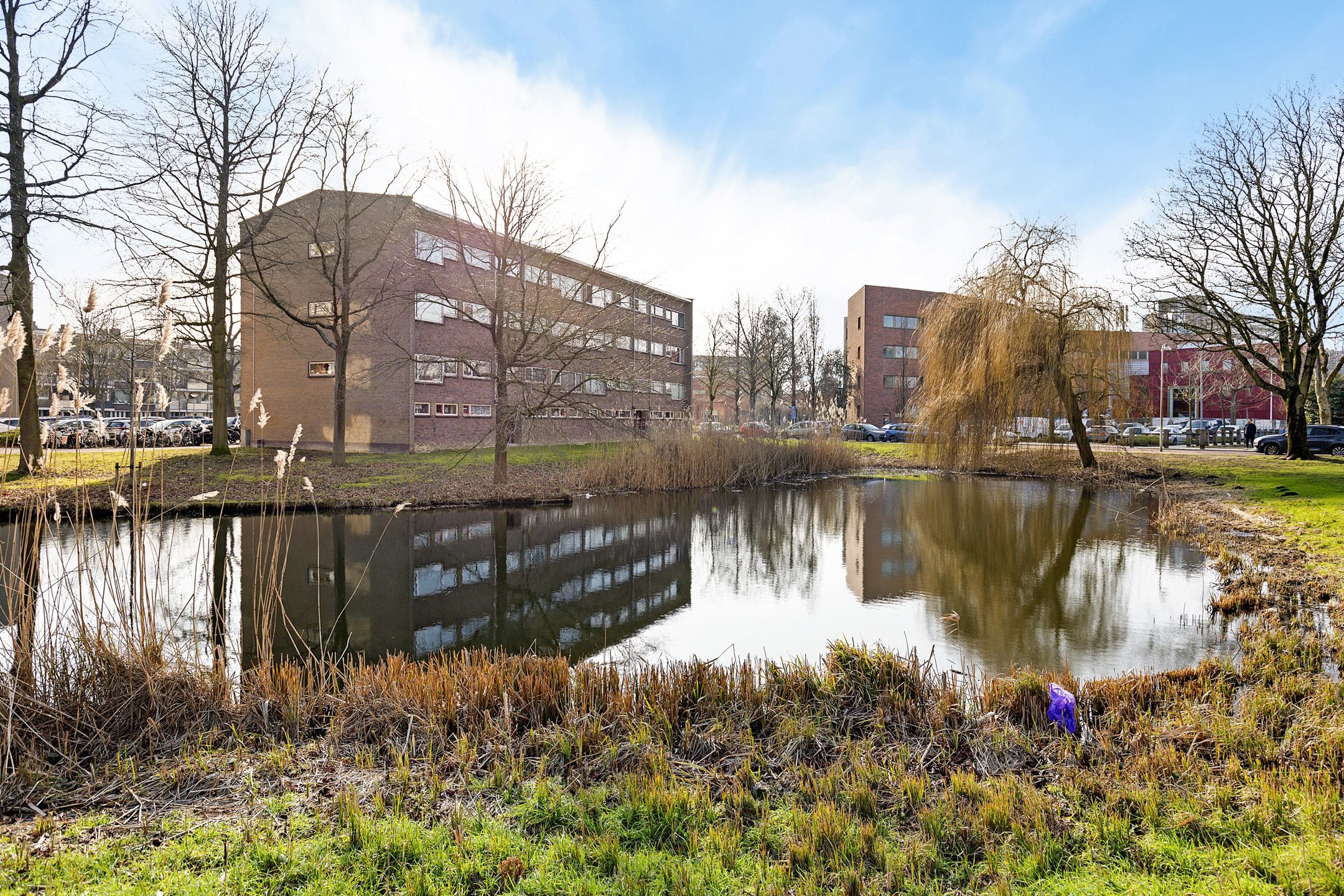 Foto 21 van Julianaplantsoen 23