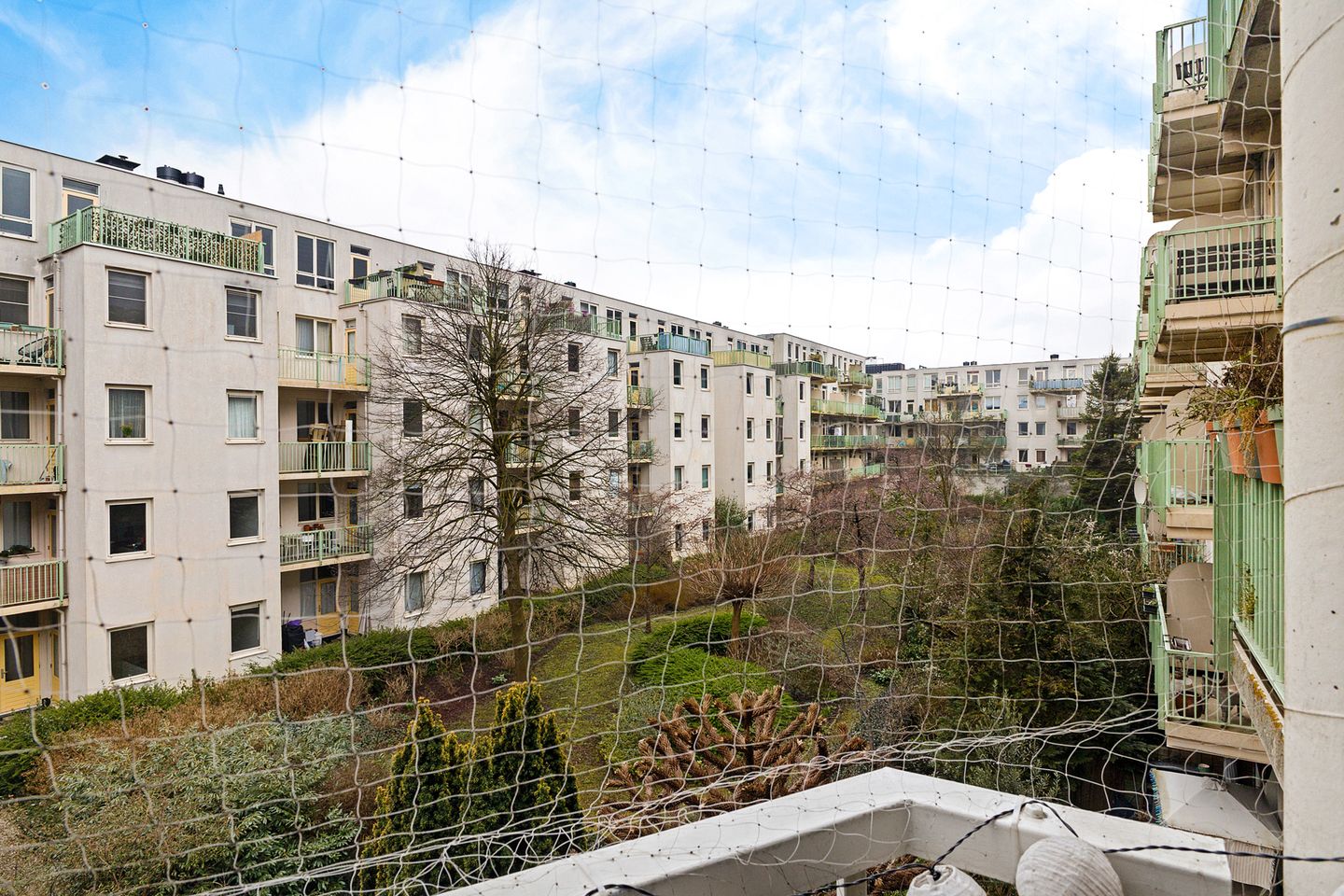 Foto 20 van Borgerstraat 123