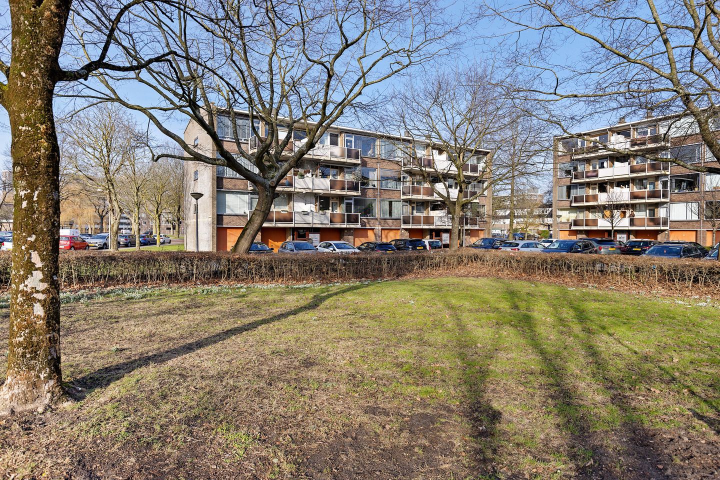 Foto 25 van Julianaplantsoen 23