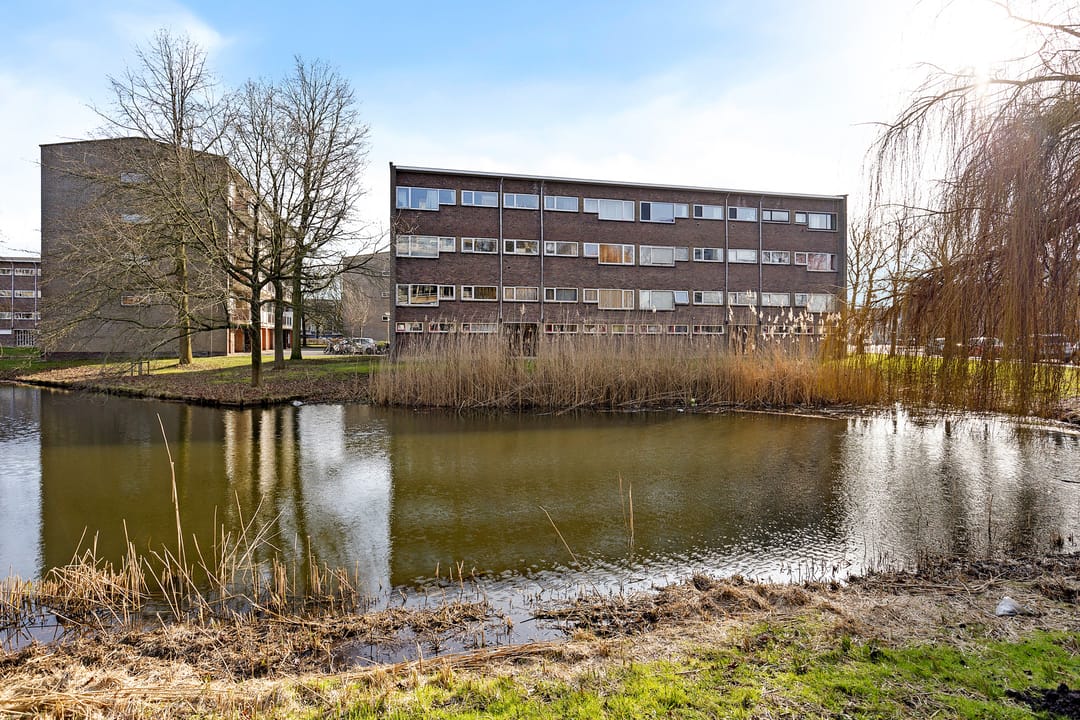 Foto 26 van Julianaplantsoen 23