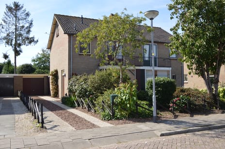 Zalmstraat thumbnail