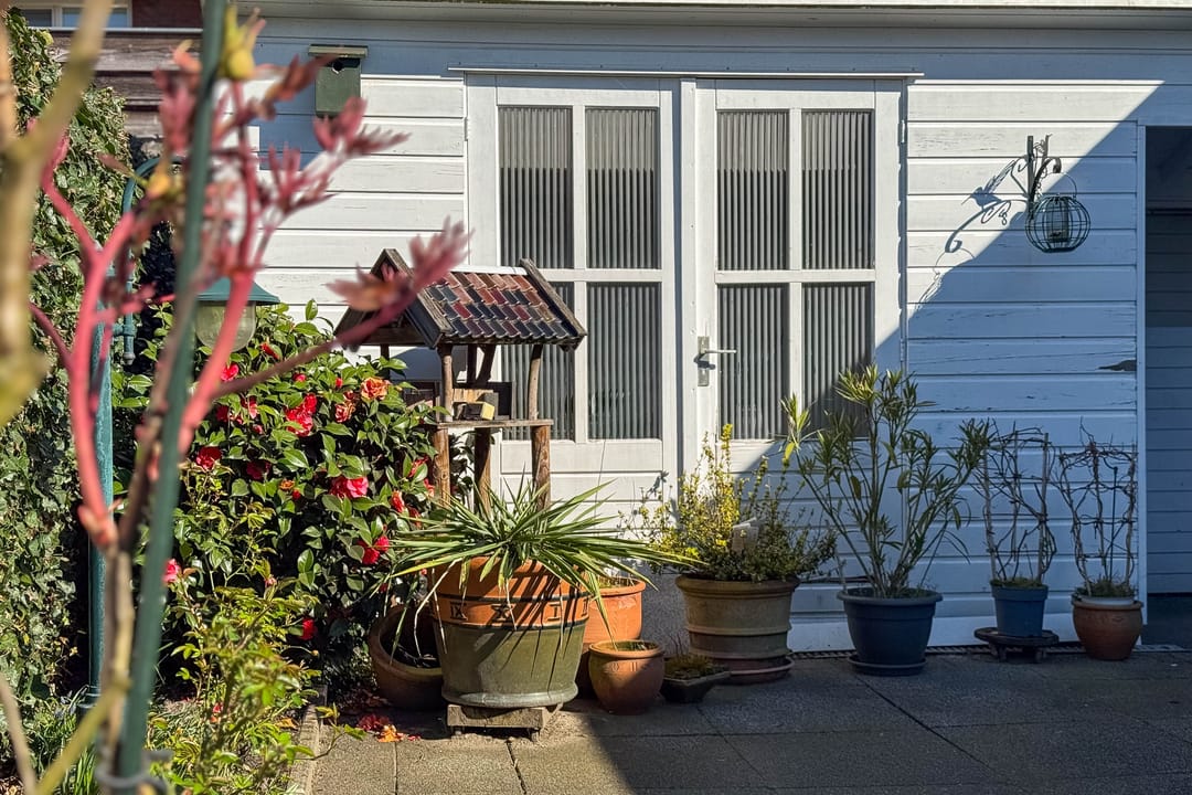 Foto 26 van Nederhof 9