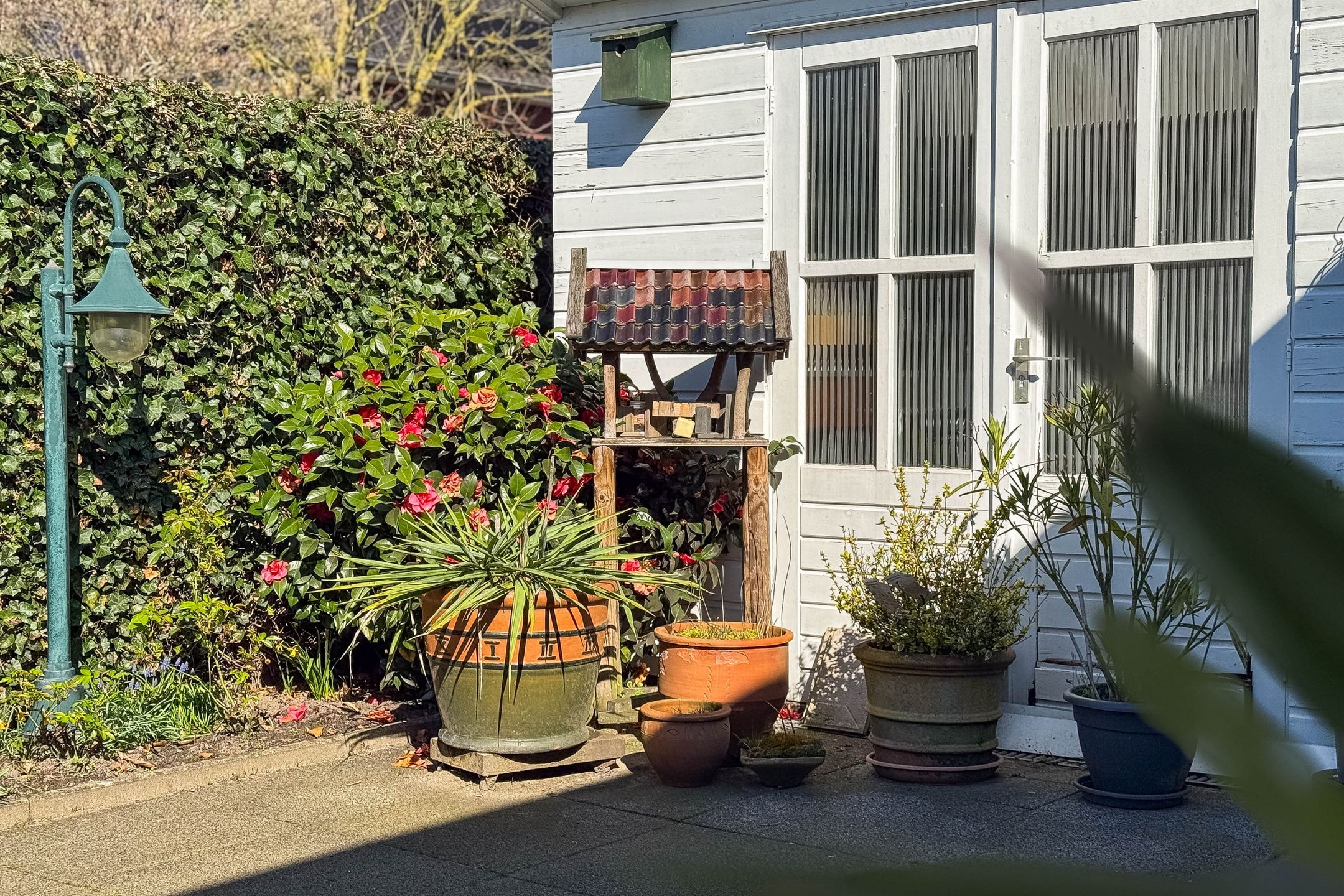 Foto 27 van Nederhof 9