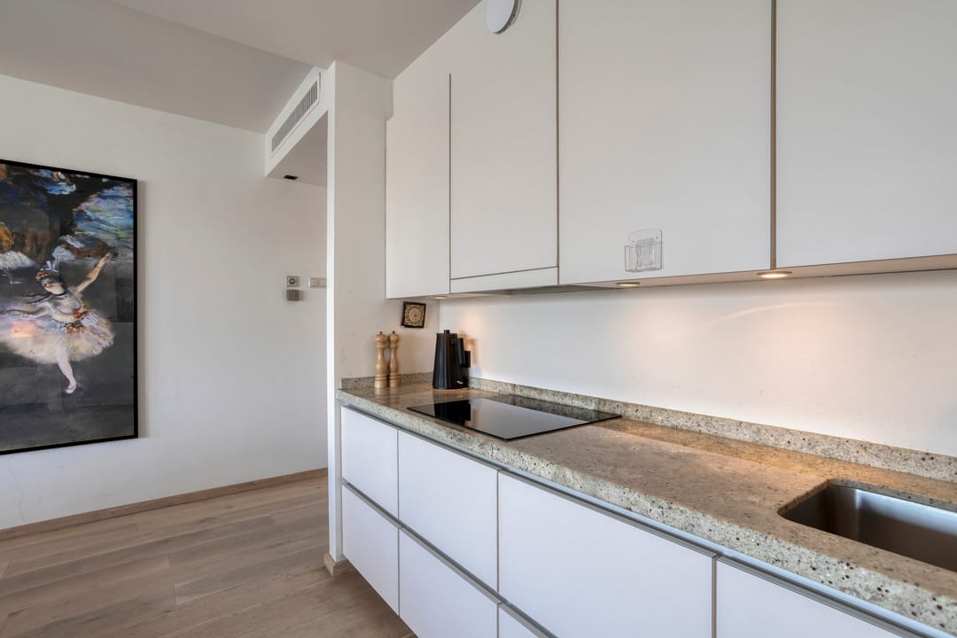 Corner apartment with guest unit and Maas views in Maastricht Villapark — 13