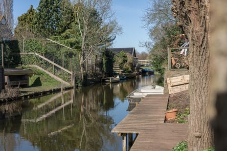 Ruiter 8 tertiary image