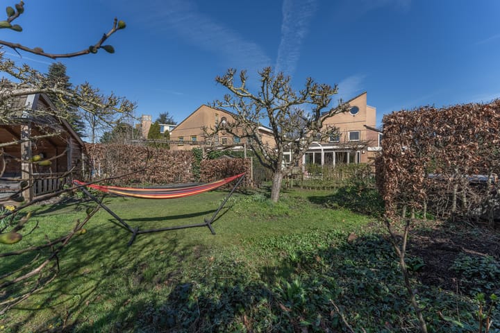 Photo 2 of Ruiter 8