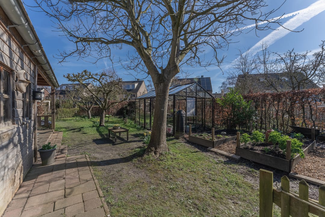 Foto 61 van Ruiter 8