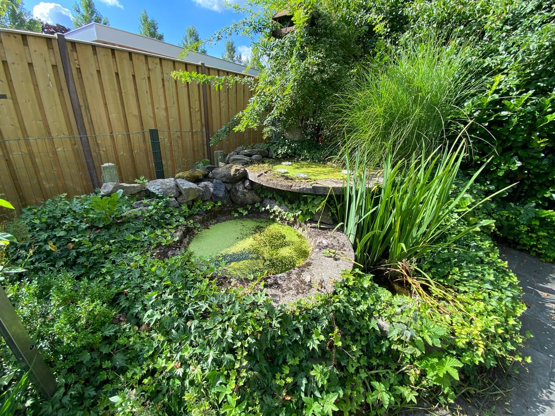 Foto 46 van Het Binneveld 22