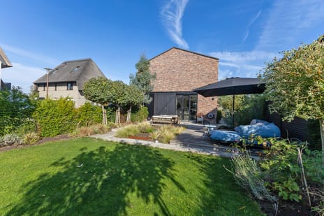 Grote Lijster thumbnail