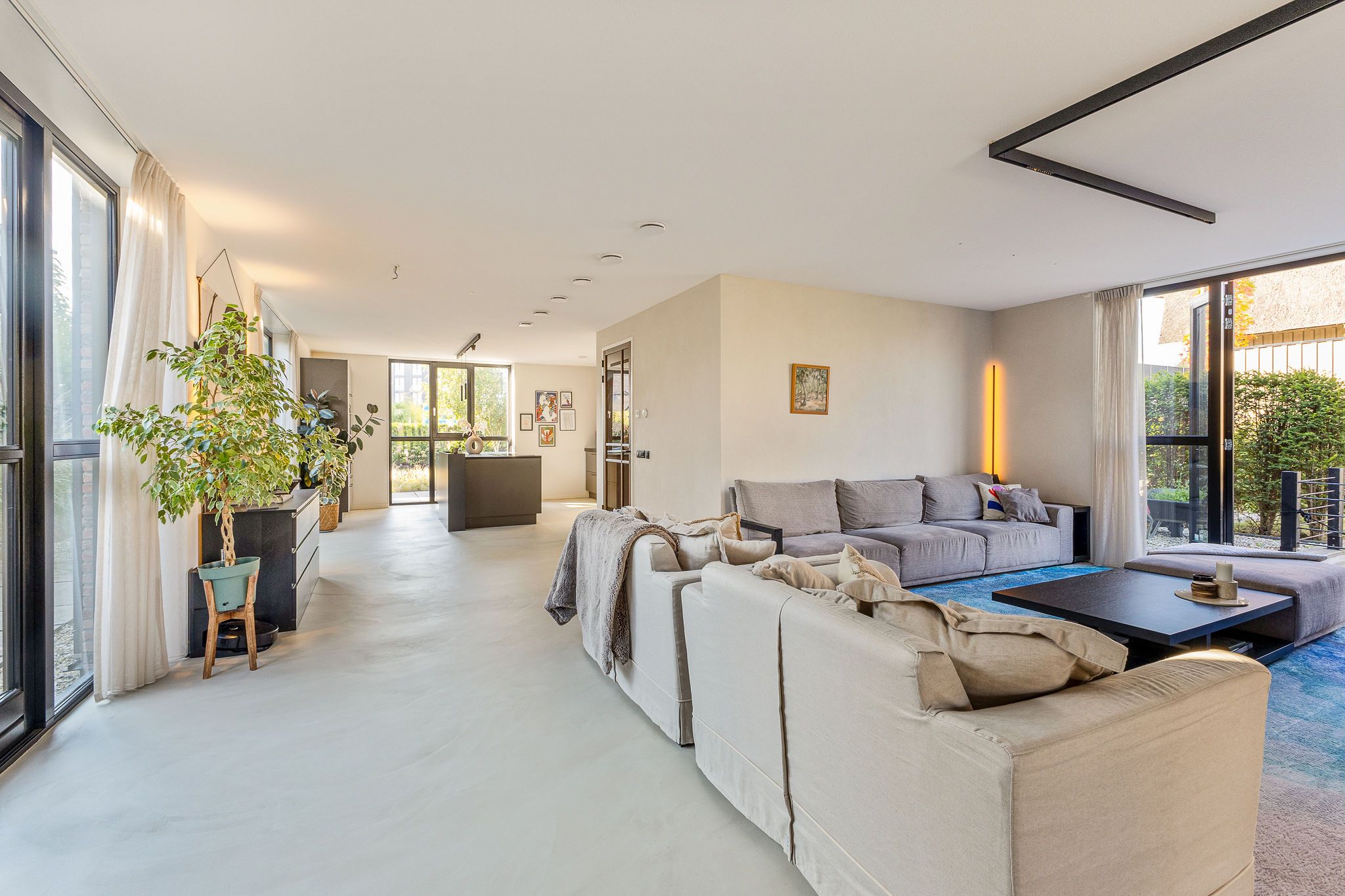 Foto 15 van Grote Lijster 22