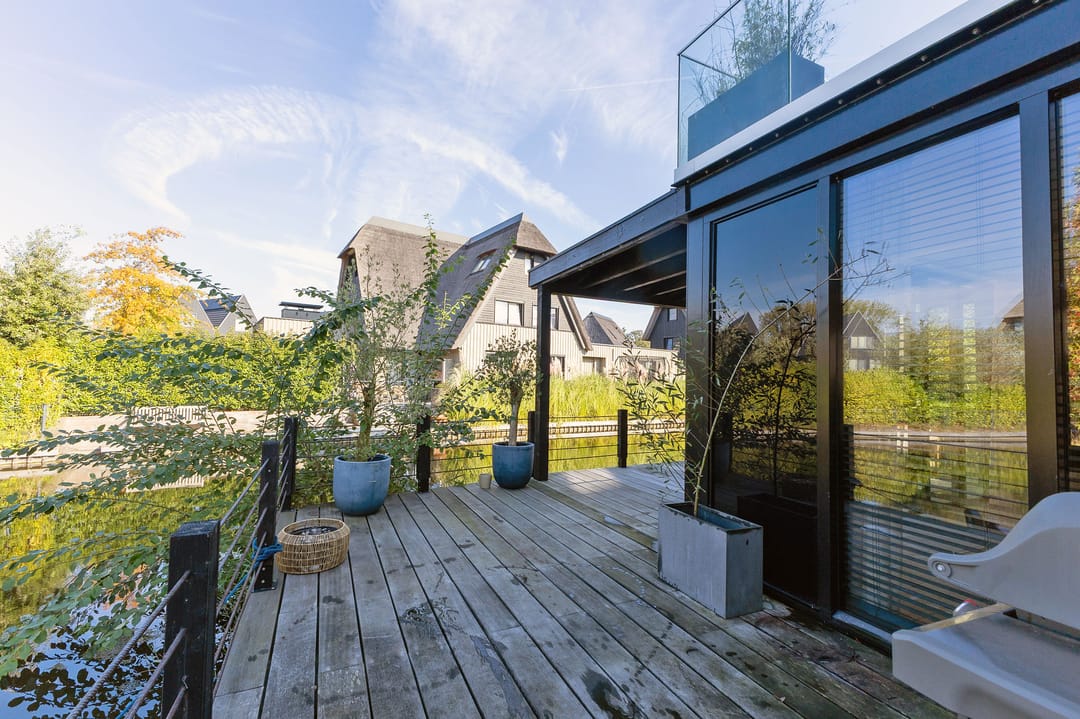 Foto 23 van Grote Lijster 22