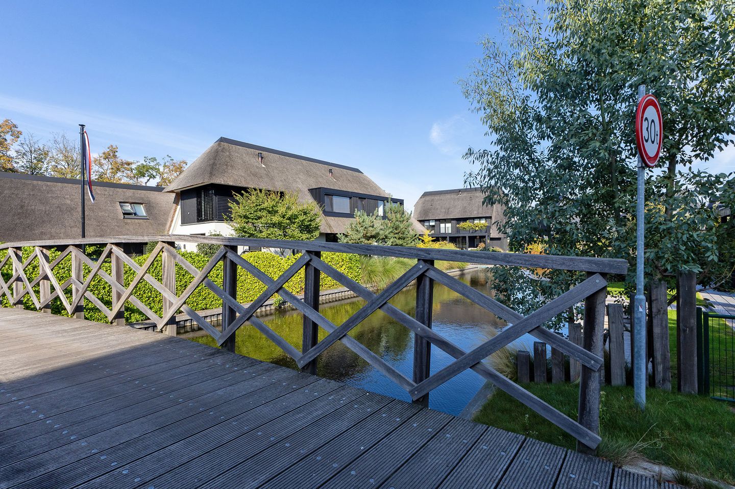 Foto 35 van Grote Lijster 22