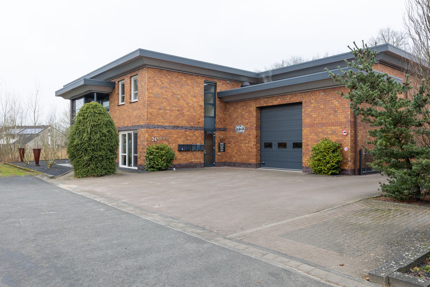 Bekijk foto 2 van Zilverlinde 24