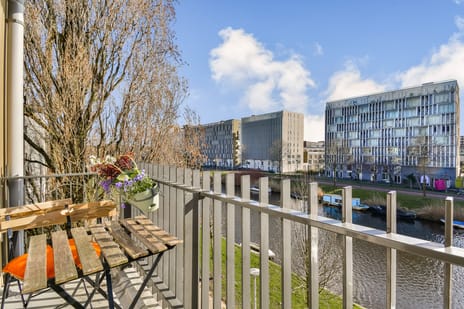 Blauwvoetstraat thumbnail