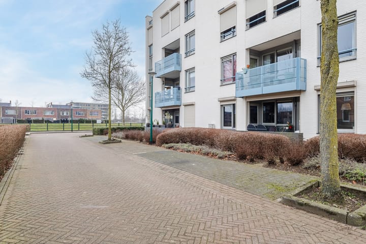 Foto 4 van Walstro 6