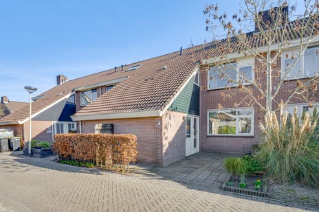 undefined main image