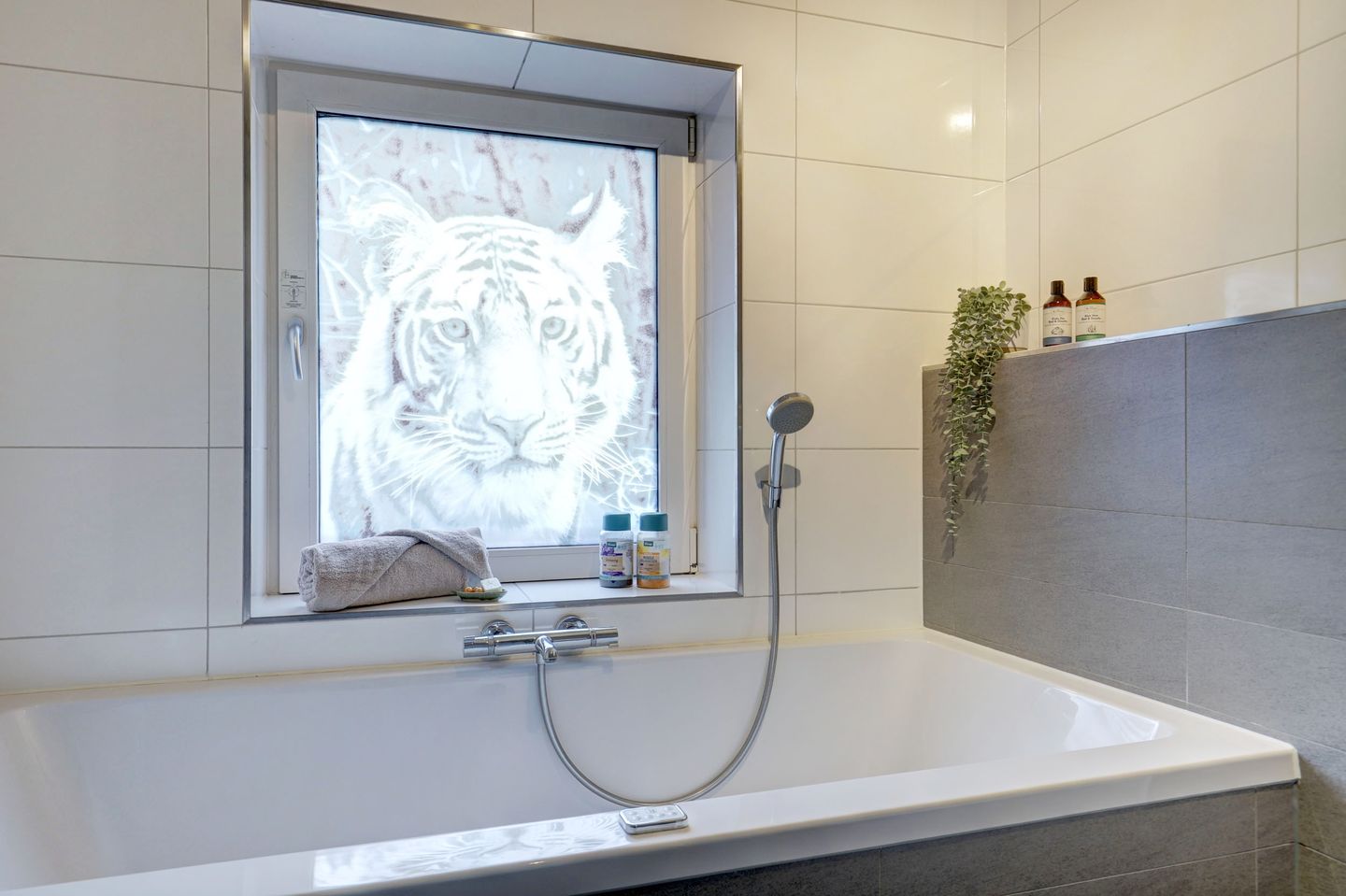 Foto 29 van Zuiderhagen 12