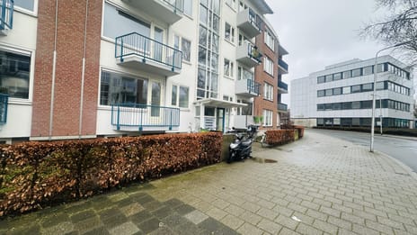 undefined main image