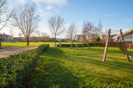 Minervasingel 18 tertiary image