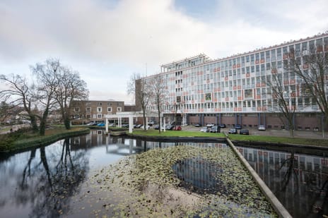 Tivolilaan thumbnail