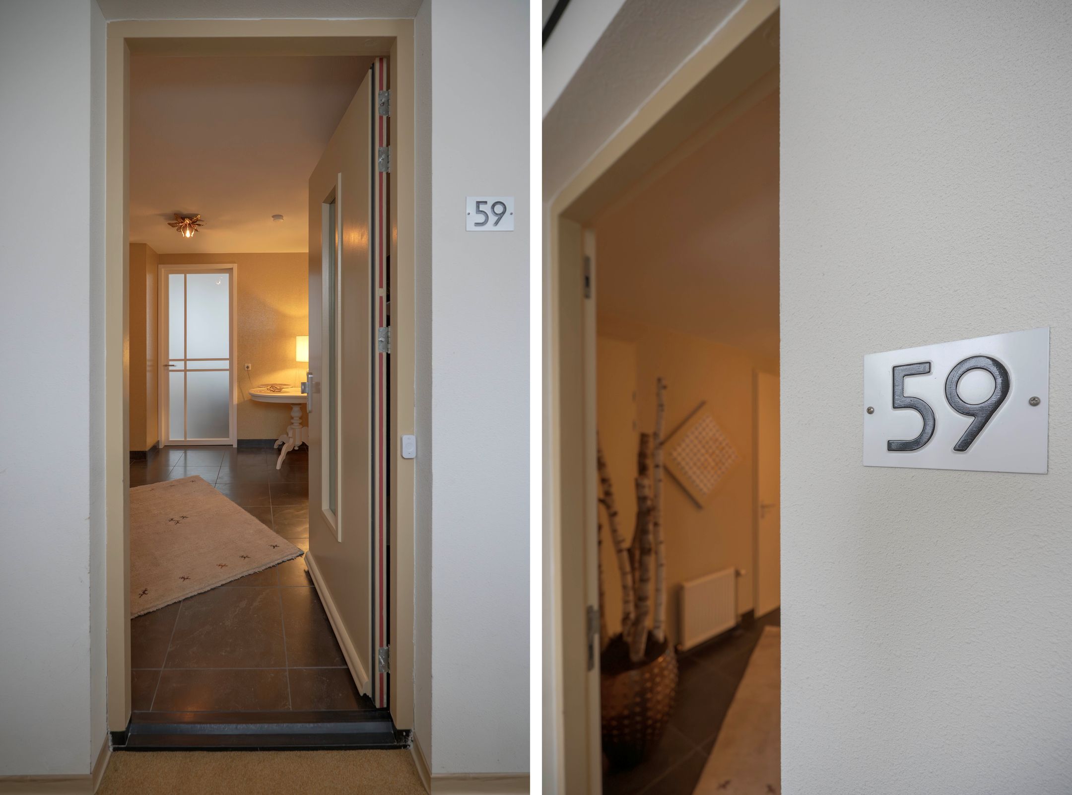 Foto 12 van Tivolilaan 59