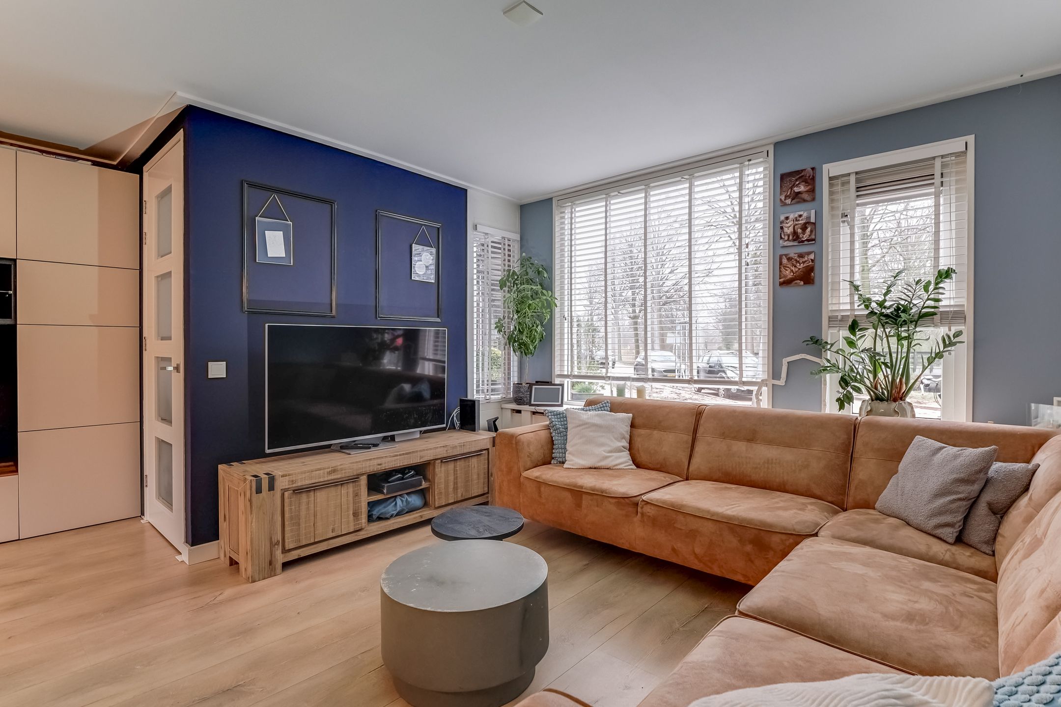 Foto 3 van Lijster 78