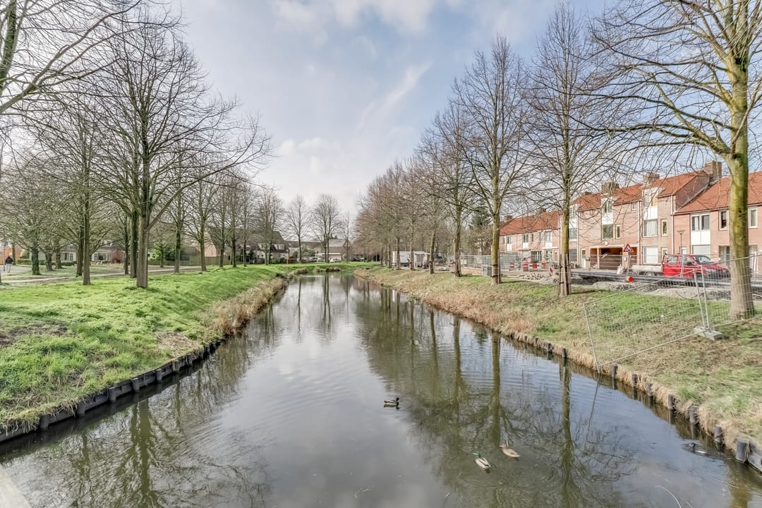 Foto 38 van Lijster 78