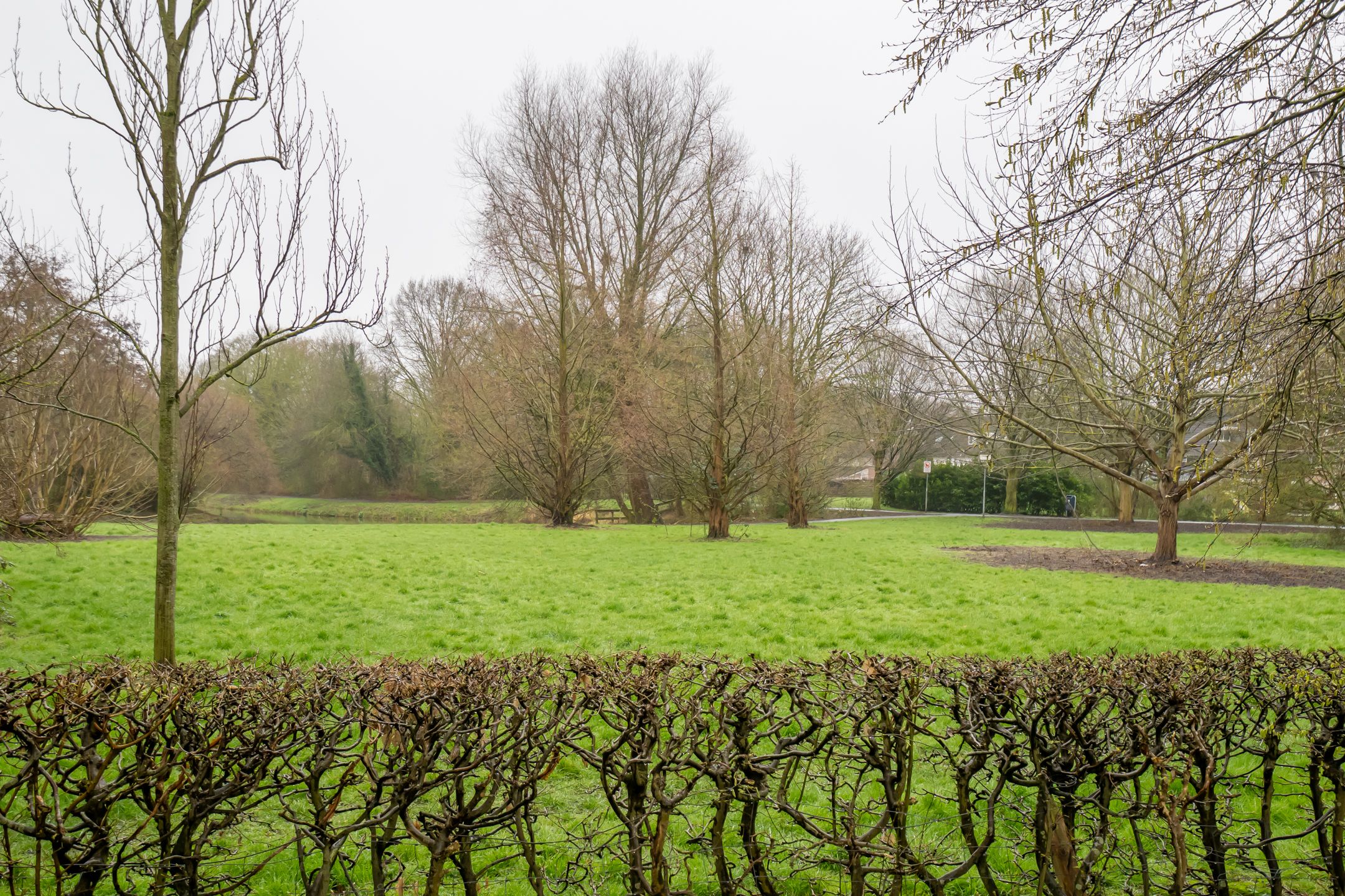 Foto 39 van Lijster 78