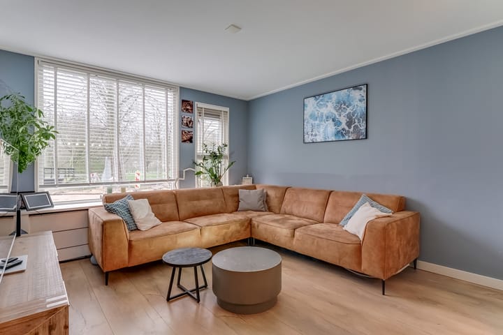 Photo 2 of Lijster 78