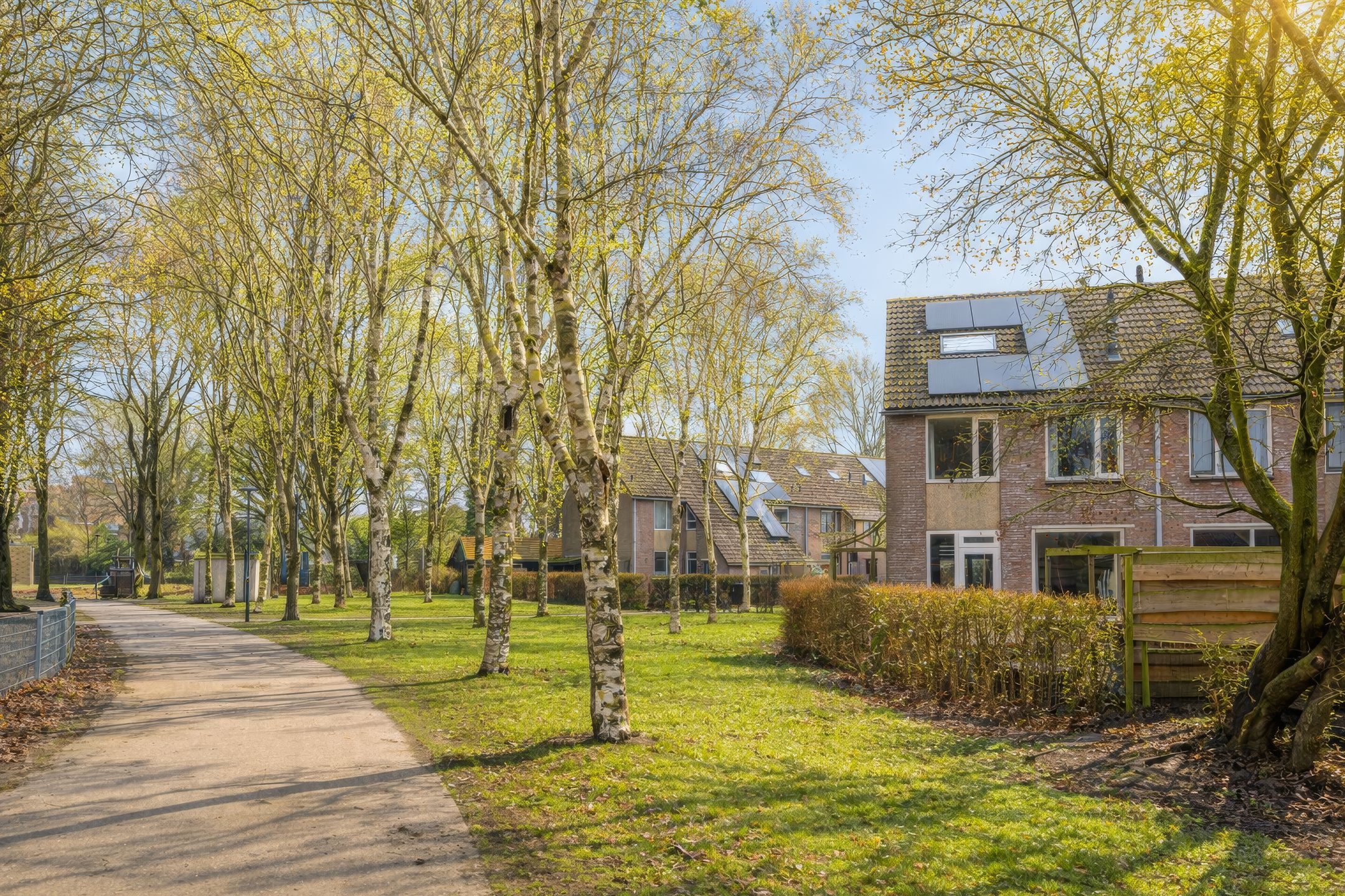 Foto 42 van Dorsvloer 39