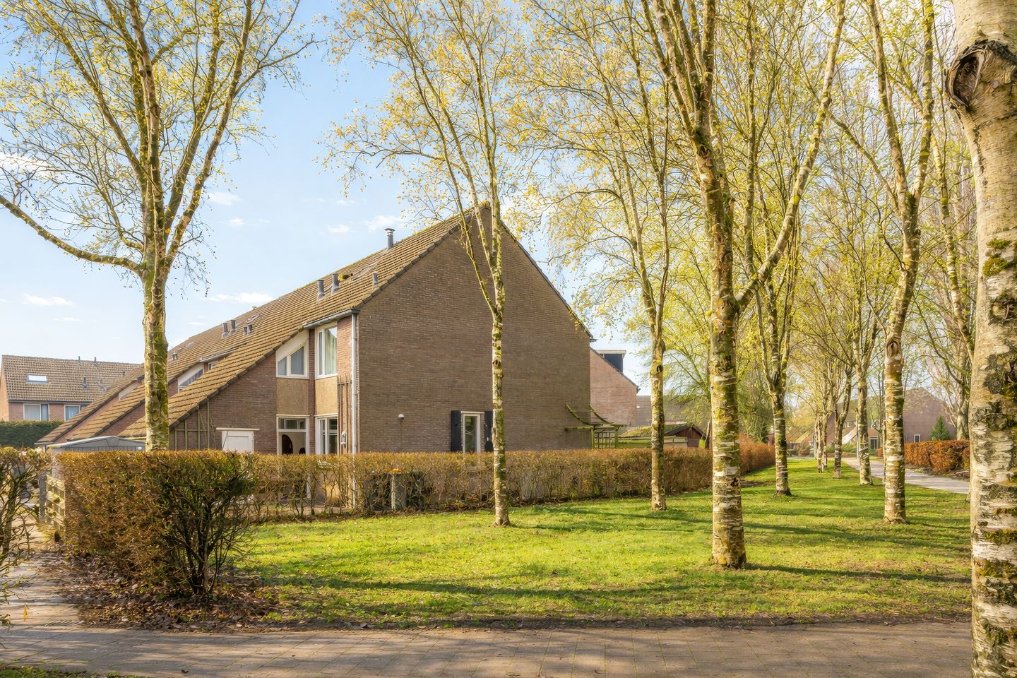 Foto 40 van Dorsvloer 39